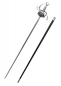 Preview: Gustav II. Rapier