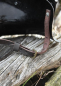 Preview: Halsberge, 1,6 mm Stahl