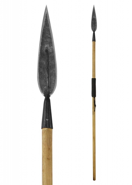 African Congo Spear, Condor